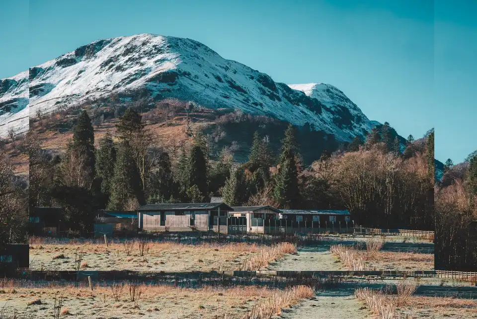Lakeview lodges